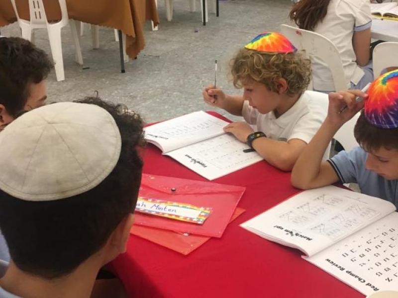 Aleph Champ Volunteer Program